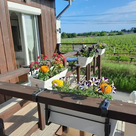 Bed & Breakfast Le Domaine De Canesse 3*
