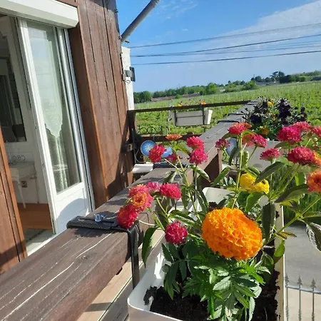 Bed & Breakfast Le Domaine De Canesse
